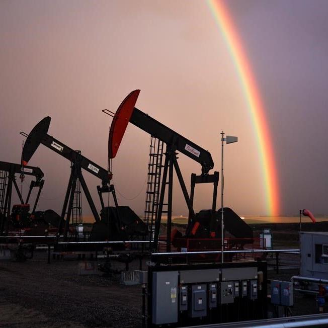 Alberta energy minister's oil well cleanup possibilities criticized